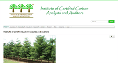 Desktop Screenshot of carbonanalyst.org