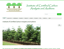 Tablet Screenshot of carbonanalyst.org